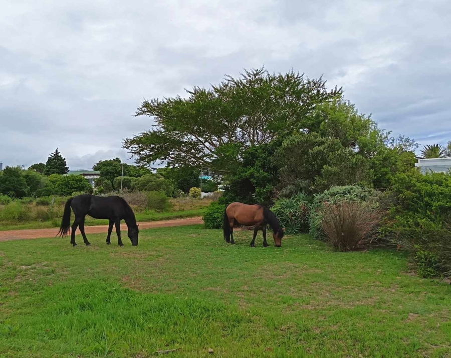 0 Bedroom Property for Sale in Fisherhaven Western Cape